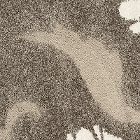 SAFAVIEH Florida Teodor Floral Shag Area Rug