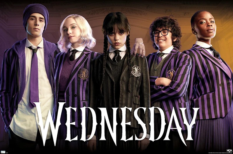 Wednesday - Group Wall Poster, 22.375" x 34"