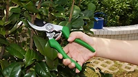 BYPASS PRUNER, PRUNER