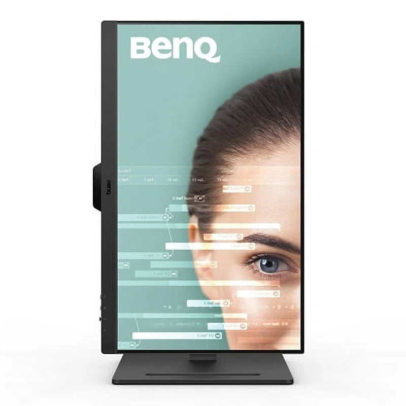 BenQ 1920x1080 Black GW2490T