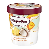 HAAGEN-DAZS Pineapple Coconut Ice Cream 450 mL