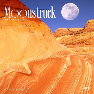 BrownTrout Moonstruck 2024 12x24 Inch Square Wall Calendar, 9781975464097