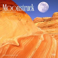 BrownTrout Moonstruck 2024 12x24 Inch Square Wall Calendar, 9781975464097