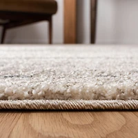 Safavieh Retro Coilean Abstract Area Rug