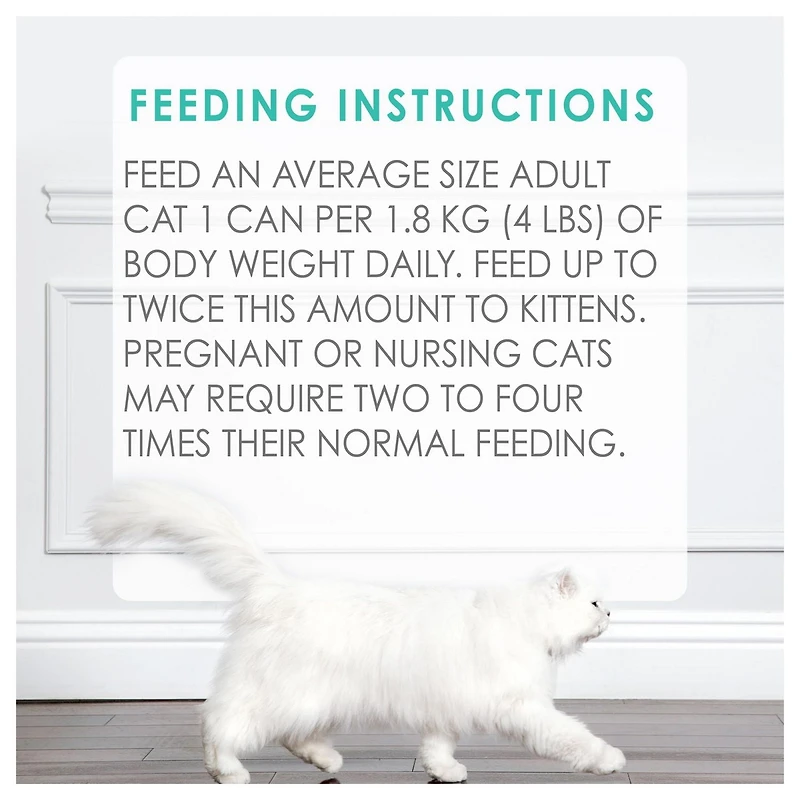 Fancy Feast Émietté – Festin de Truite Nourriture pour Chats 85 g