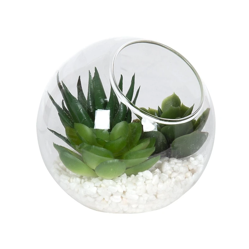 DesignOvation 3.75"H Angled Glass Globe Succulent Terrarium, 3.81in W x 3.75in H x 3.81 in D