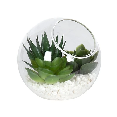 DesignOvation 3.75"H Angled Glass Globe Succulent Terrarium, 3.81in W x 3.75in H x 3.81 in D