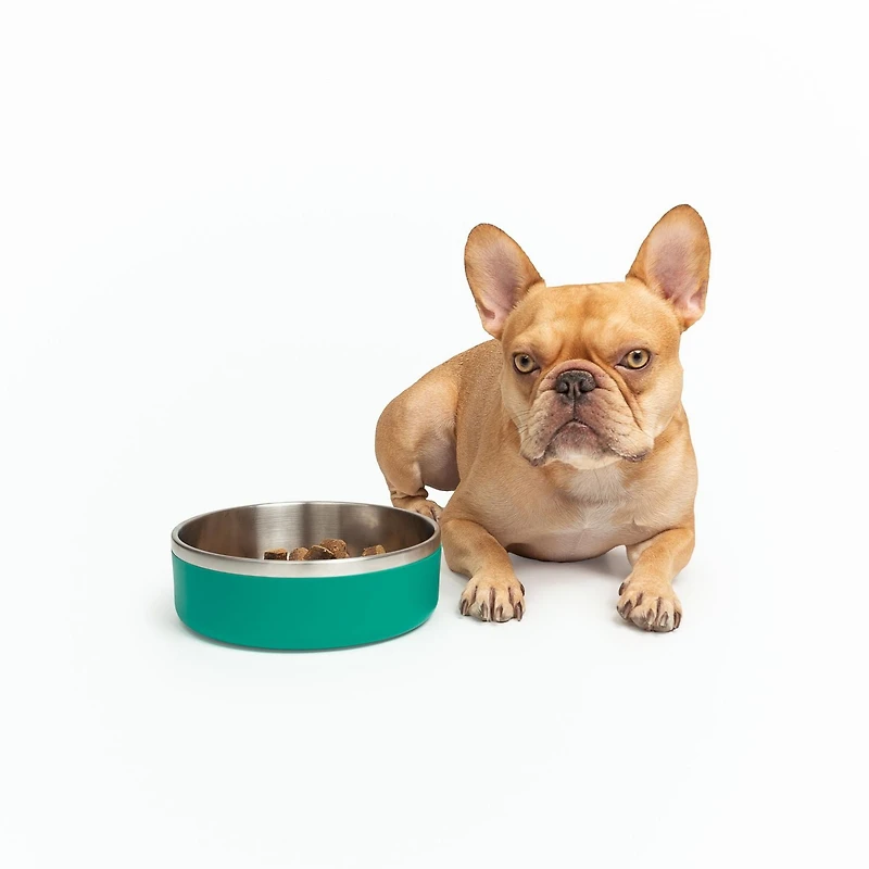 One Paw, Grand bol double en acier inoxydable pour chien, 2.1L