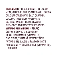 Céréales Timbits - Chocolat glacé de Post, format familial