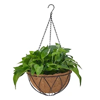 Mainstays 12 dans le panier suspendu de coco