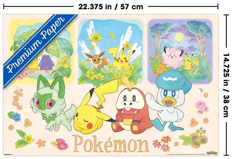 Pokémon : Une Scène - Groupe