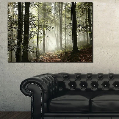 Tableau moderne imprimée sur toile Design Art Lumière en foret