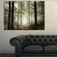Design Art Light in Dense Fall Forest with Fog Landscape Canvas Art Print