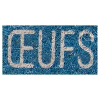 Fermes Burnbrae 6 Gros Oeufs Blanc 6 oeufs / carton