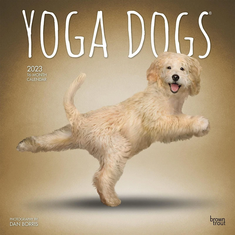 Yoga Dogs OFFICIAL | 2023 12x24 Inch Square Wall Calendar