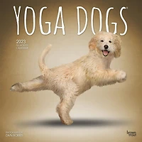 Yoga Dogs OFFICIAL | 2023 12x24 Inch Square Wall Calendar