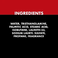 Gillette Foamy Regular Shaving Foam, 311 g
