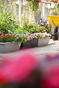 Hometrends Jardinière avec systèmed'auto-irrigation de 61 cm Jardinière avec systèmed'auto-irrigation de 61 cm