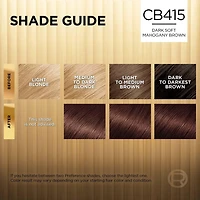 L'Oréal Paris Superior Preference, Permanent Hair Dye