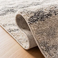 Safavieh Retro Coilean Abstract Area Rug