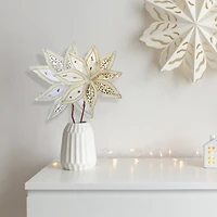Pics De Poinsettia À Bord Tressé (Assortiment) - Lot De 12