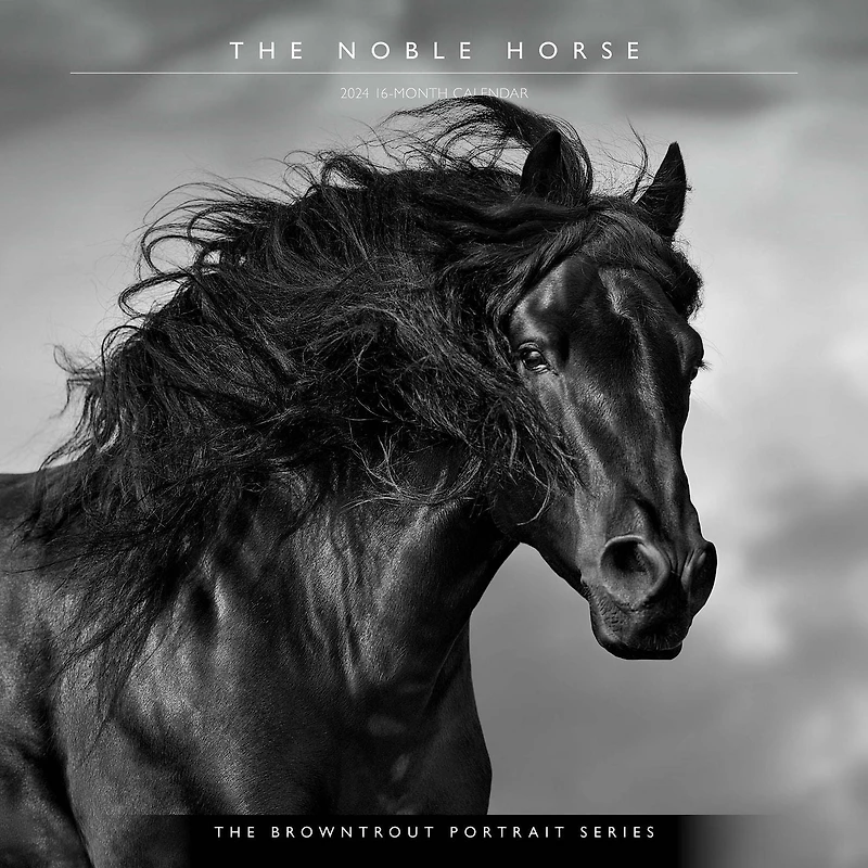 BrownTrout The BrownTrout Portrait Series: The Noble Horse 2024 12x24 Inch Square Wall Calendar, 9781975463120