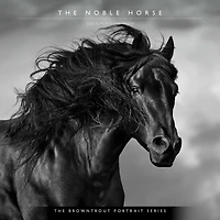 BrownTrout The BrownTrout Portrait Series: The Noble Horse 2024 12x24 Inch Square Wall Calendar, 9781975463120