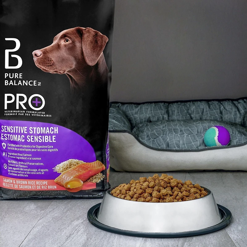 Pure Balance Pro+ Sensitive Stomach, Salmon & Brown Rice Recipe Dry Dog Food, 100 g, 3.5 kg, 7 kg