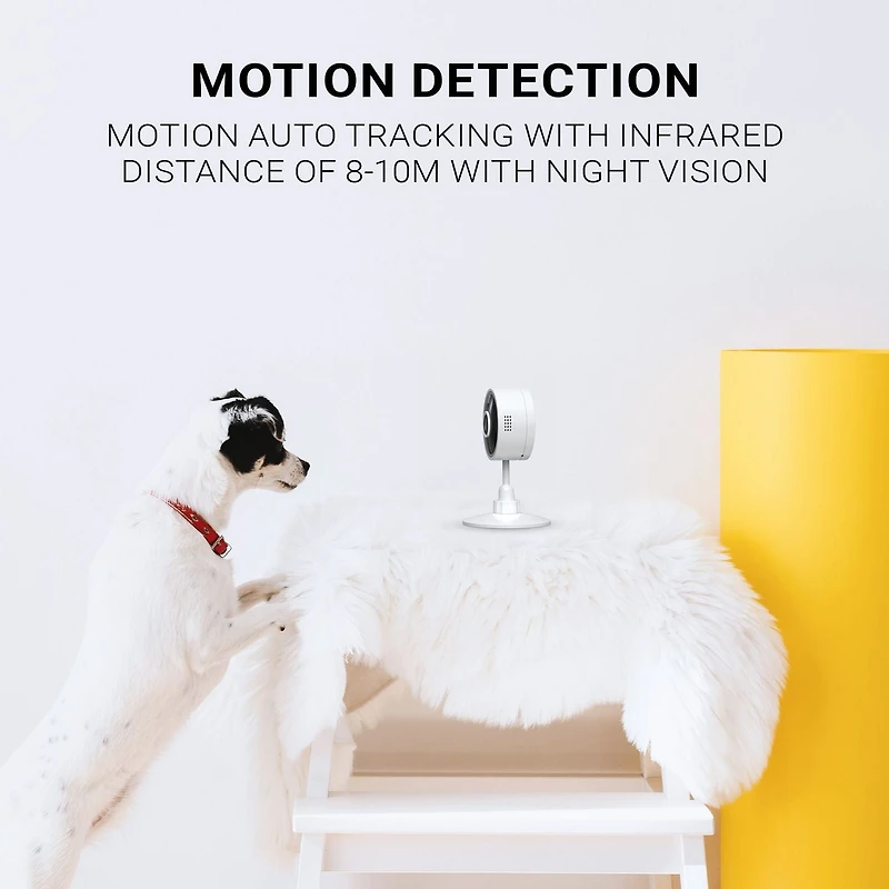 Instachew Purrsight Mini Wi-Fi HD Pet Camera, White