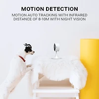 Instachew Purrsight Mini Wi-Fi HD Pet Camera, White