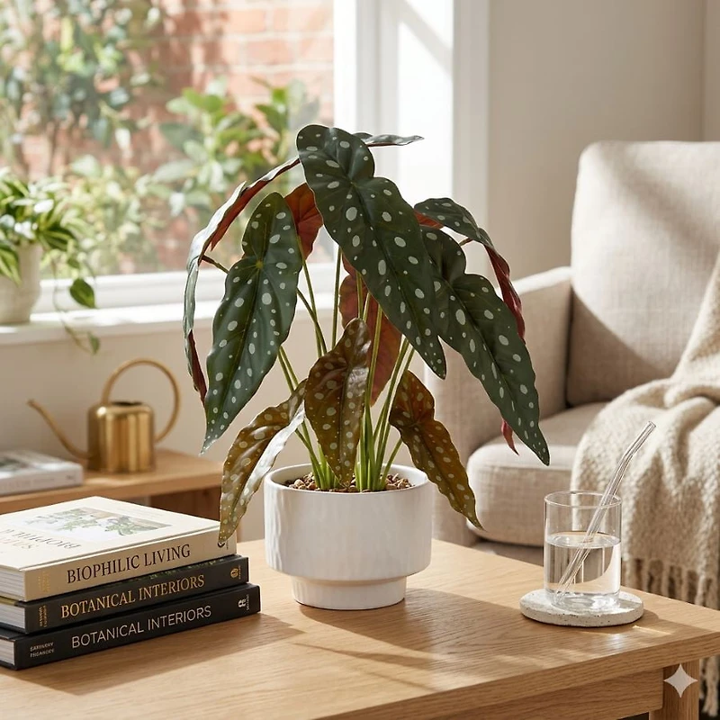 Anko Spotted Plant In Pot