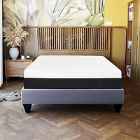 Primo Aspen 10-inch Gel Memory Foam Mattresses with 2 Pillows – Queen Size, Medium Firm, Cooling Sleep, CertiPUR-US Certified