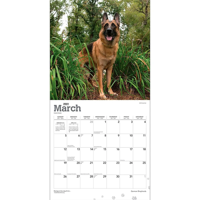 German Shepherds | 2023 12x24 Inch Square Wall Calendar