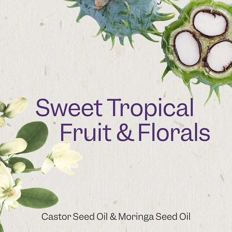 Renpure Castor Oil & Moringa Shampoo, Plant-Based - Curl Enhancing - For Moisturized, Smooth Curls - For Curly Hair - 24 Fl Oz
