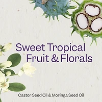 Renpure Castor Oil & Moringa Shampoo, Plant-Based - Curl Enhancing - For Moisturized, Smooth Curls - For Curly Hair - 24 Fl Oz