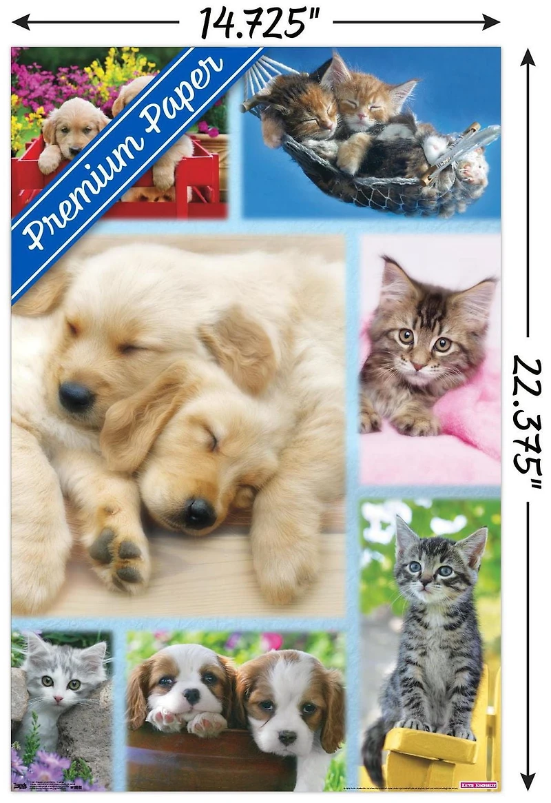 Keith Kimberlin - Collage de chiots et de chatons