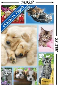 Keith Kimberlin - Collage de chiots et de chatons