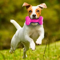 NERF Dog TPR EXO Squeak Bone Dog Toy 7in, 7 in / 18cm
