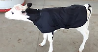 Cool Runners Therapeutic Calf Coat
