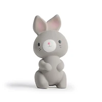 Ingenuity Sylvi™ NATURAL RUBBER Teether, 0 - 36 months