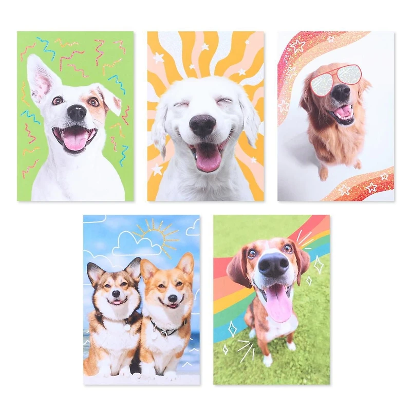 American Greetings - Assortiment en boîte de 15 cartes sans texte et enveloppes, chiens amusants