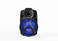 Haut-parleur de fête sans fil avec microphone de Vivitar