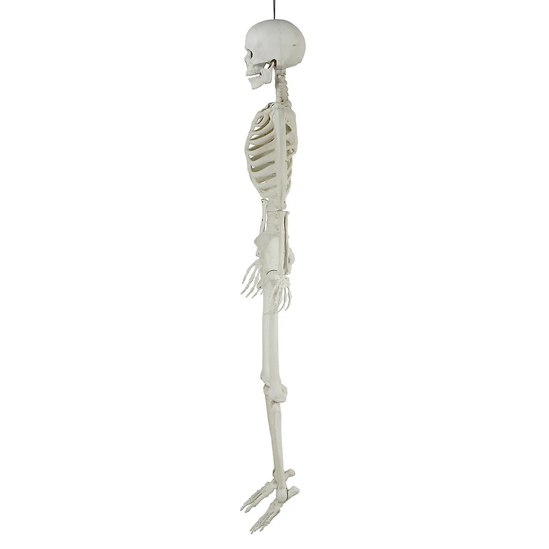 Déco d’halloween Tout Pour célébrer 60 pouces Squelette articulé