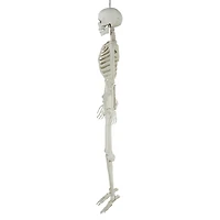 Déco d’halloween Tout Pour célébrer 60 pouces Squelette articulé