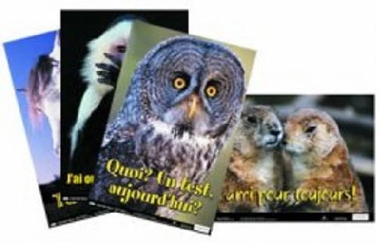Affiches amusantes pédagogiques