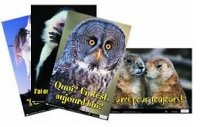 Affiches amusantes pédagogiques