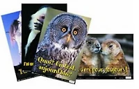 Affiches amusantes pédagogiques