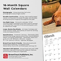 BrownTrout Vizslas 2024 12x24 Inch Square Wall Calendar, 9781975465575