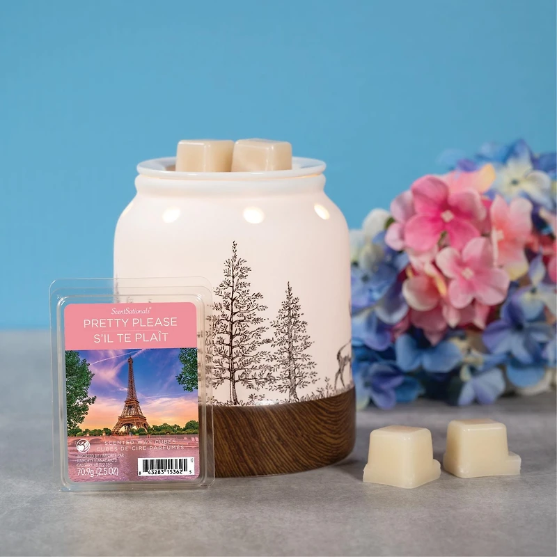ScentSationals, Cubes de cire parfumés, S'il te plaît DreamGear