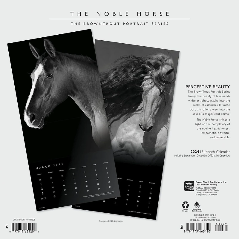 BrownTrout The BrownTrout Portrait Series: The Noble Horse 2024 12x24 Inch Square Wall Calendar, 9781975463120